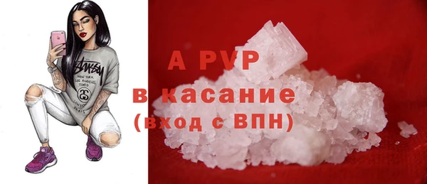 шишки Ладушкин