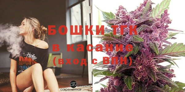 шишки Ладушкин