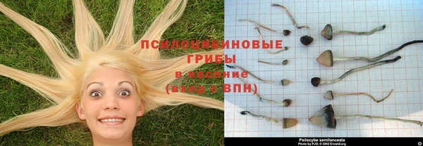 спайс Лагань
