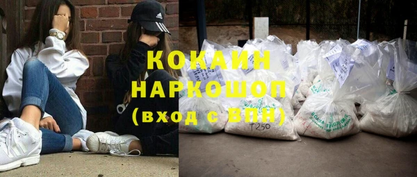 шишки Ладушкин