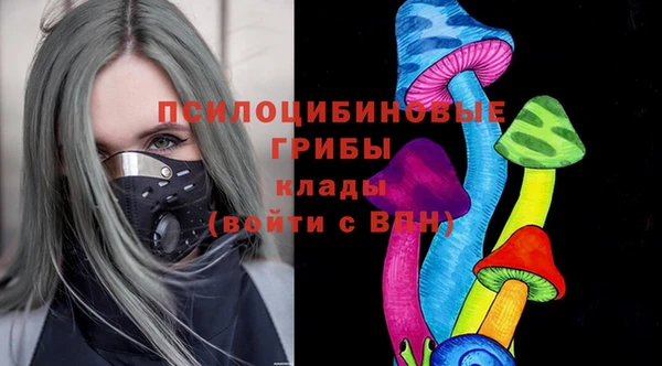 спайс Кулебаки